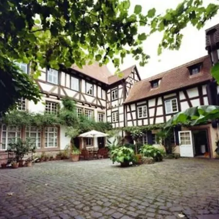 Historischer Adelshof Am Marktplatz, Atelier 70 M² Weinheim Exterior photo
