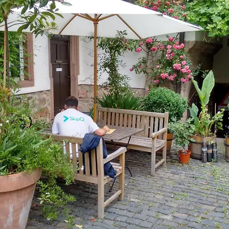 Historischer Adelshof Am Marktplatz, Atelier 70 M² Weinheim Exterior photo