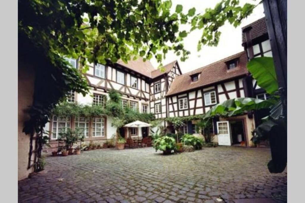 Apartment Historischer Adelshof Am Marktplatz, Atelier 70 M²